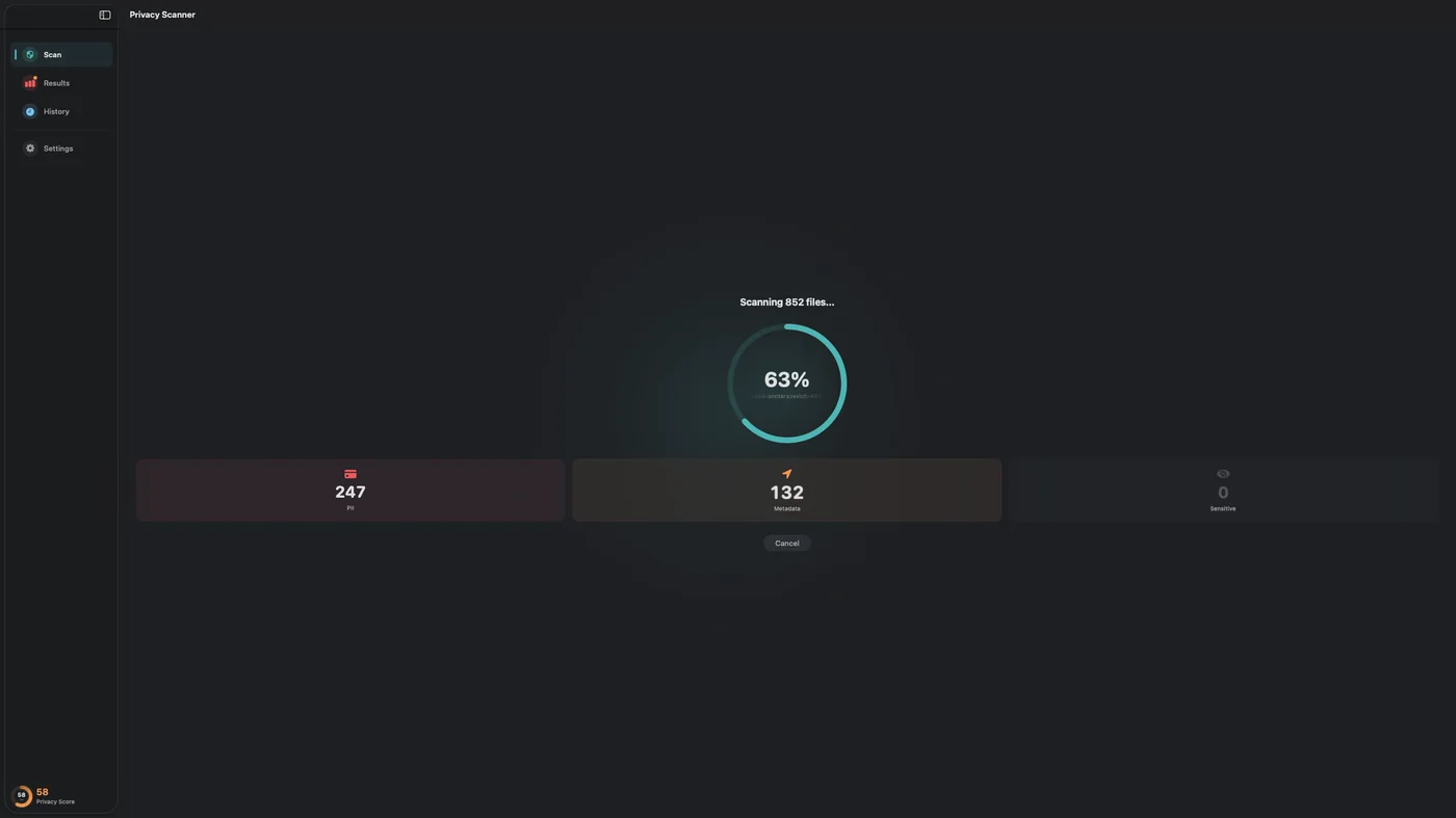 Privacy Scanner scanning 852 files, found 247 PII and 132 metadata issues